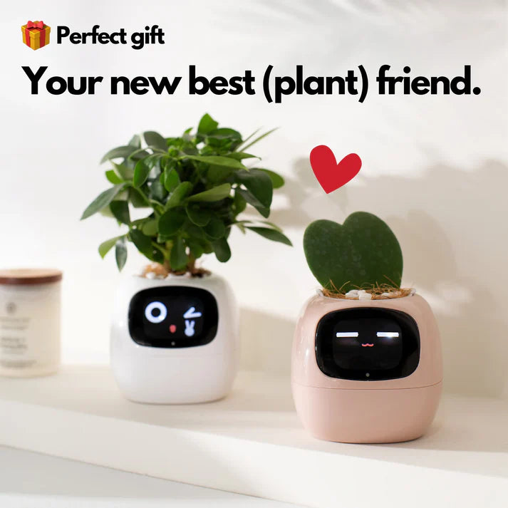 Smart Planter