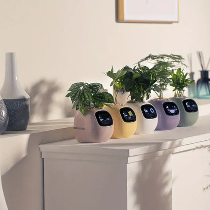 Smart Planter