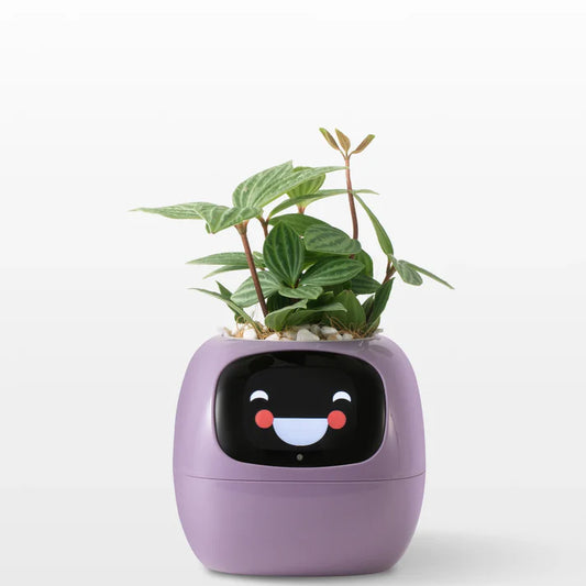 Smart Planter