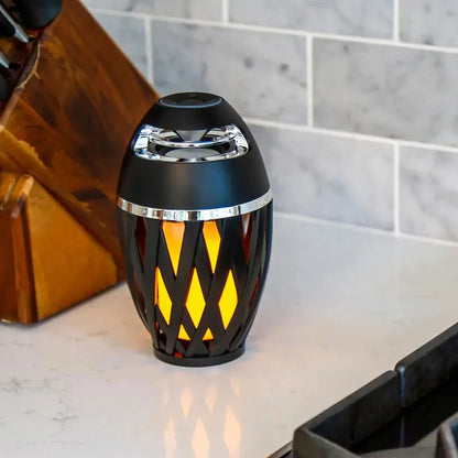 Portable Bluetooth Wireless Speaker